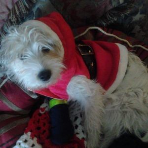 Meet your Posher, Christie benoit